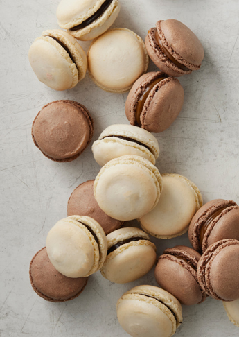Go all in macrons